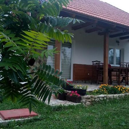Nektar Park Villa Sara Bihac Ngoại thất bức ảnh