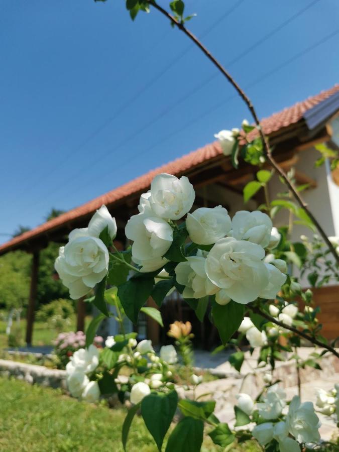 Nektar Park Villa Sara Bihac Ngoại thất bức ảnh