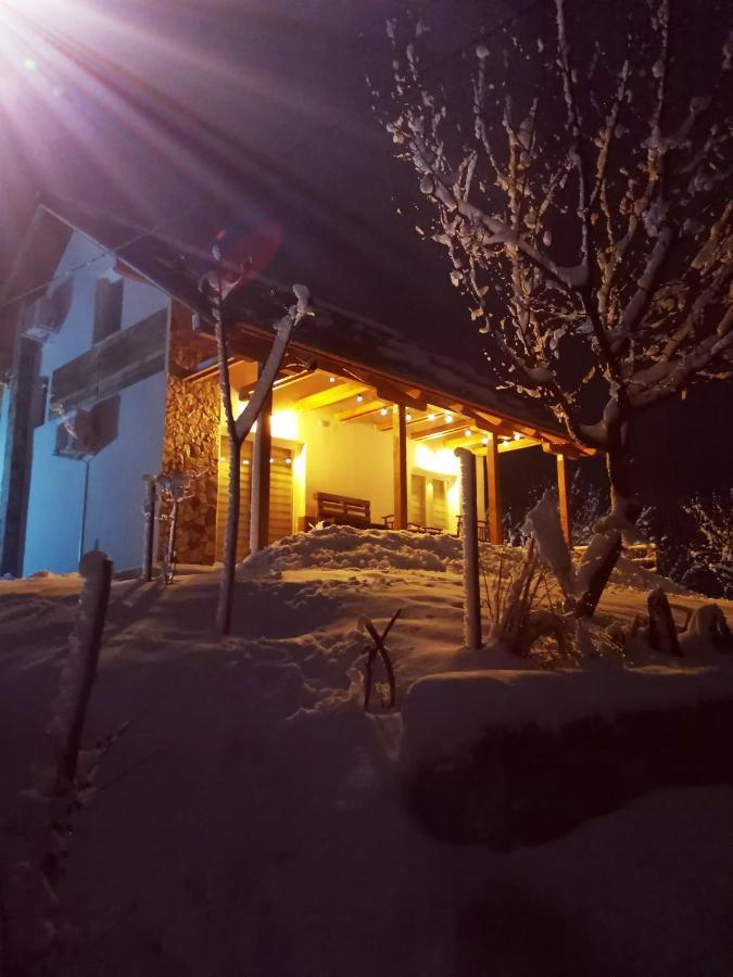 Nektar Park Villa Sara Bihac Ngoại thất bức ảnh