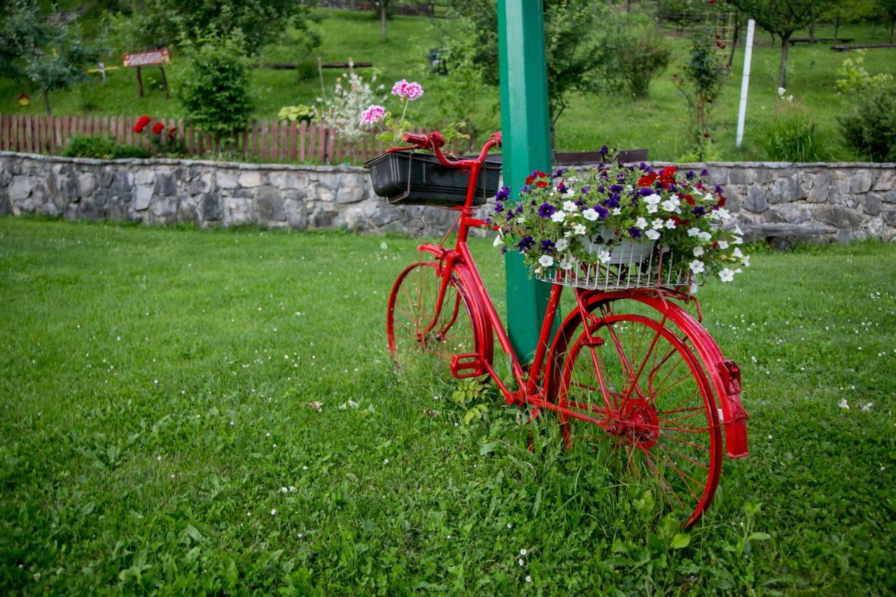Nektar Park Villa Sara Bihac Ngoại thất bức ảnh
